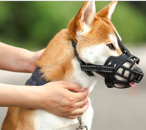 Dog Muzzle