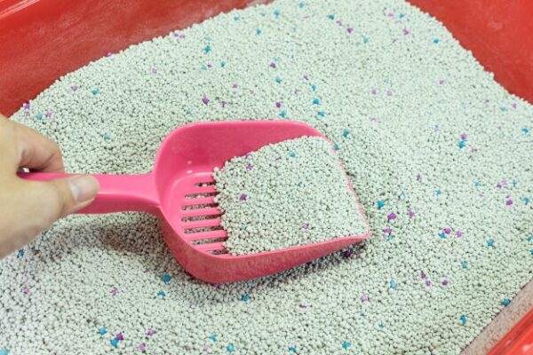 Plastic Cat Litter Scoop - Image 3